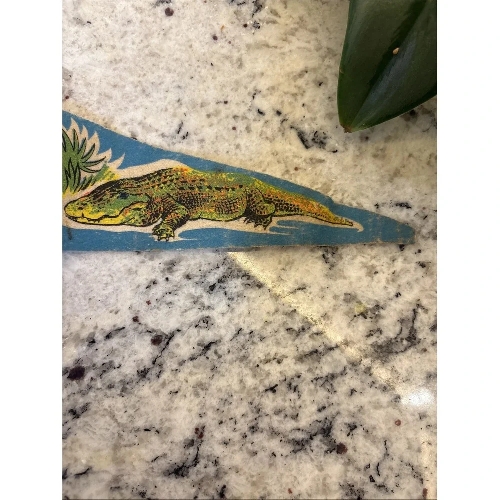 Vintage Green Felt Silver Springs Florida Neon Boat Ride Ocala Pennant Flag